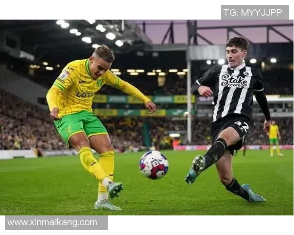 诺维奇主场迎战罗瑟汉姆期待精彩对决与胜利之争